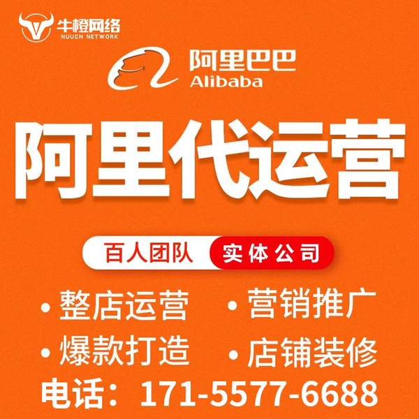 新沂电商代运营