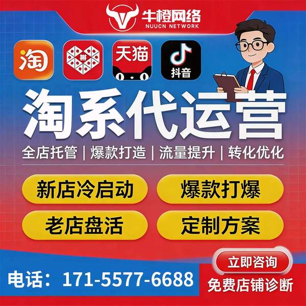 新沂电商代运营