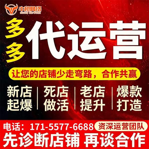 新沂电商代运营