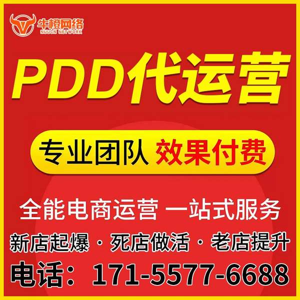 新沂电商代运营