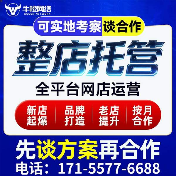 新沂电商代运营