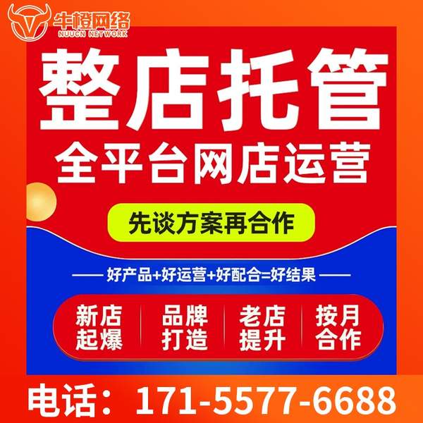 新沂电商代运营