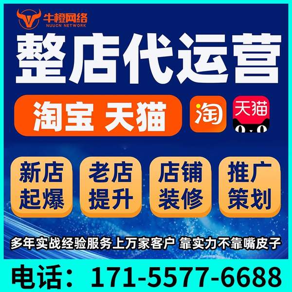 新沂电商代运营