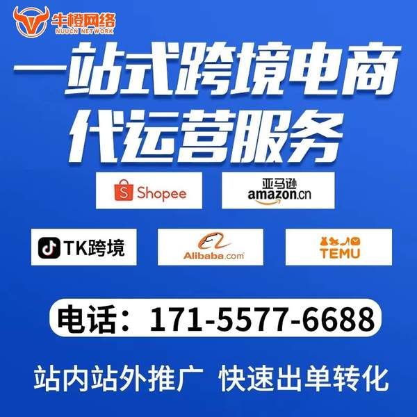 新沂电商代运营