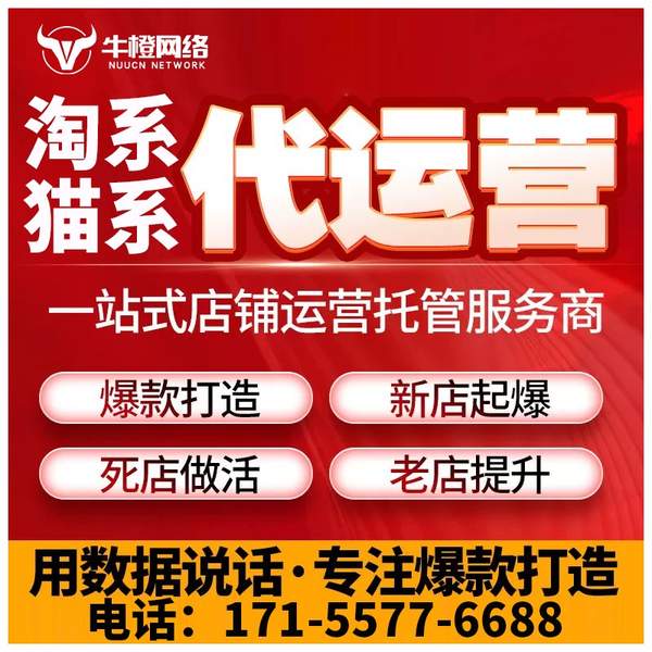 新沂电商代运营